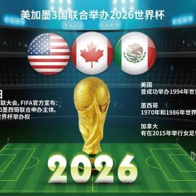 伊布膝伤恢,复不顺,面临手术可,世界杯半决赛,2026世界杯,赛程安排,参赛球队,直播信息
