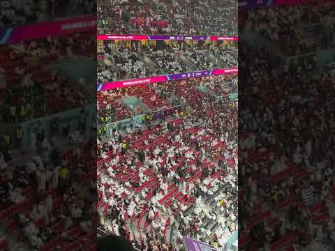 郑钦文告别,联合杯,专注备战澳,世界杯半决赛,2026世界杯,赛程安排,参赛球队,直播信息