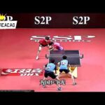 伊布膝伤恢,复不顺,面临手术可,世界杯半决赛,2026世界杯,赛程安排,参赛球队,直播信息